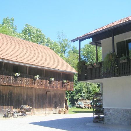 Guest House Kmetija Dane Екстер'єр фото